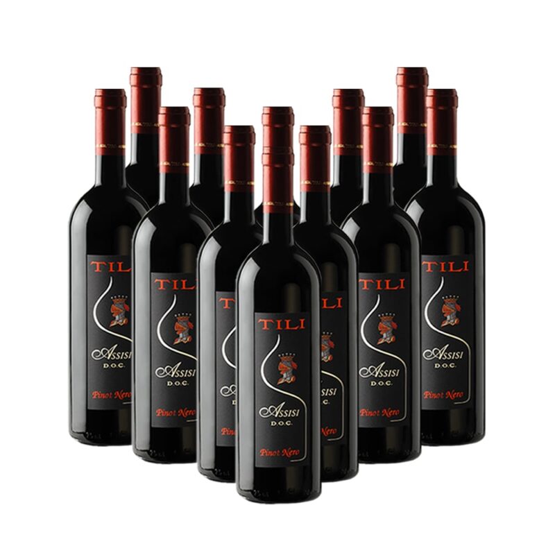 Tili Vini Assisi - Assisi Pinot Nero box 12 bottles